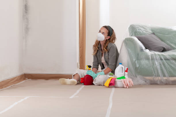 Reliable Hvac And Air Duct Mold Remediation contractor in Thornton, CO by 24 Hour Mold Removal